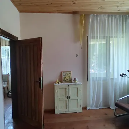 Lavandula Malko Tŭrnovo