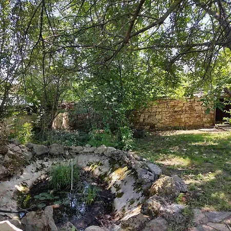 Lavandula Malko Tŭrnovo