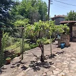 Lavandula بيت للعطل *
