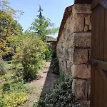 Lavandula Malko Tŭrnovo