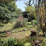 بيت للعطل Lavandula *