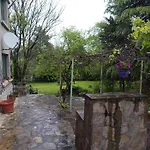 Lavandula * Malko Tŭrnovo