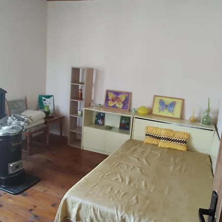 Lavandula Malko Tŭrnovo