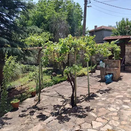 Lavandula Casa de Férias *