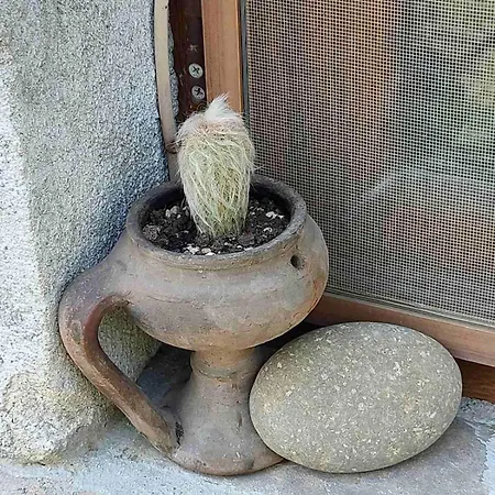 Semesterbostad Lavandula *