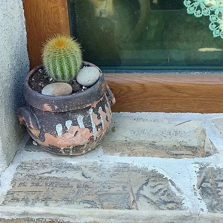 Lavandula Casa de Férias *