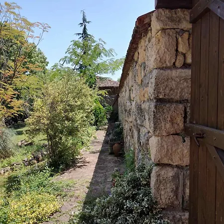 Lavandula Malko Tŭrnovo