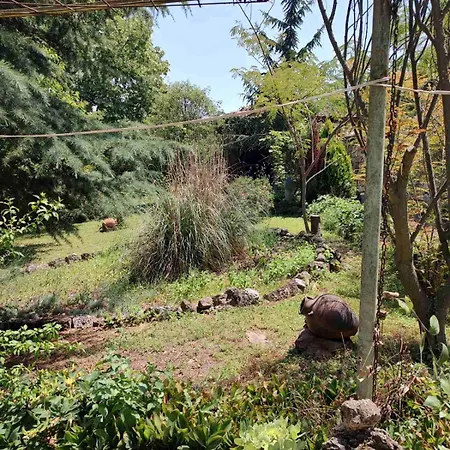 Casa de Férias Lavandula *