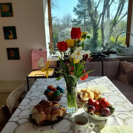 Casa de Férias Lavandula *