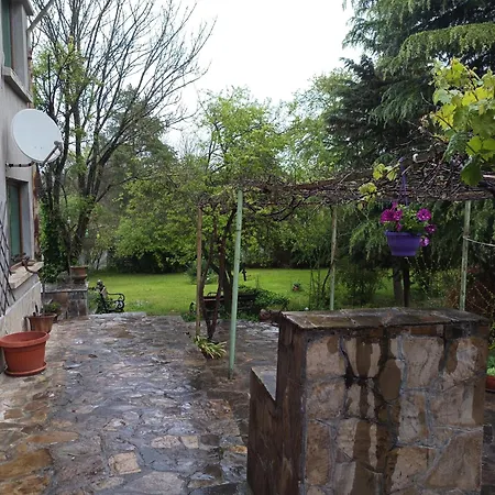 Lavandula * Tirnovo
