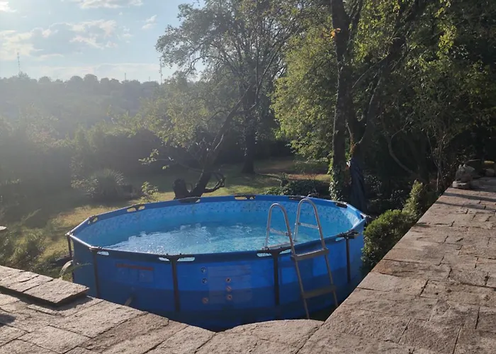 Lavandula * Malko Tŭrnovo