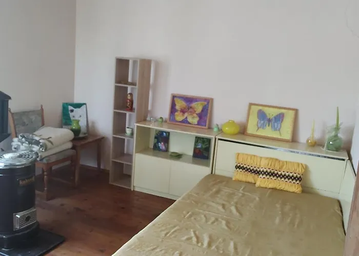 Lavandula Malko Tŭrnovo