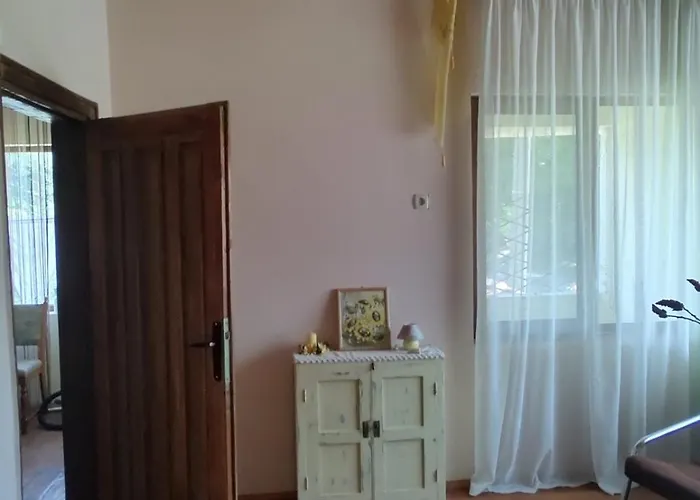 Lavandula Malko Tŭrnovo