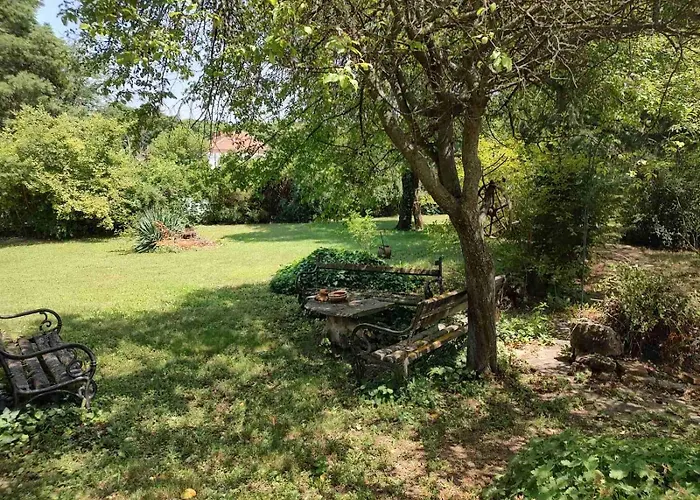 Lavandula * Malko Tŭrnovo