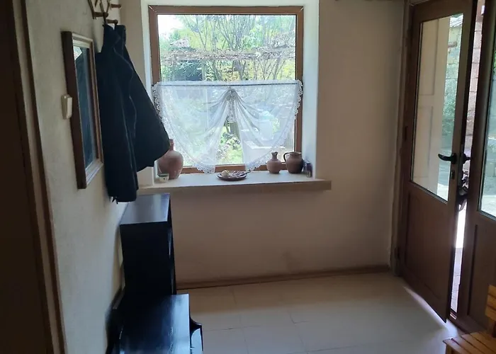 Lavandula Malko Tŭrnovo