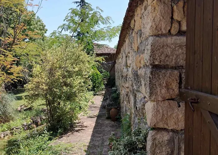 Lavandula Malko Tŭrnovo