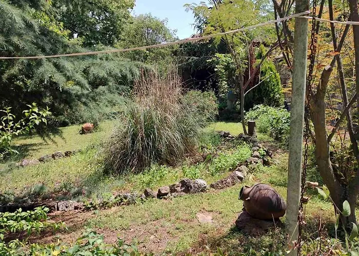 度假居 Lavandula *