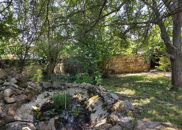 Lavandula Malko Tŭrnovo